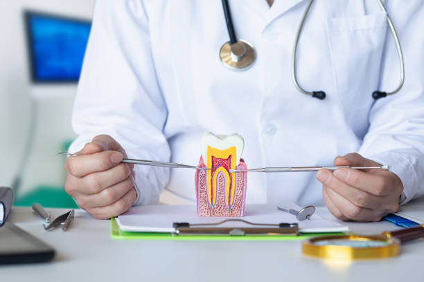 Best Emergency Treatment for Oral Infections in Zanesville, OH